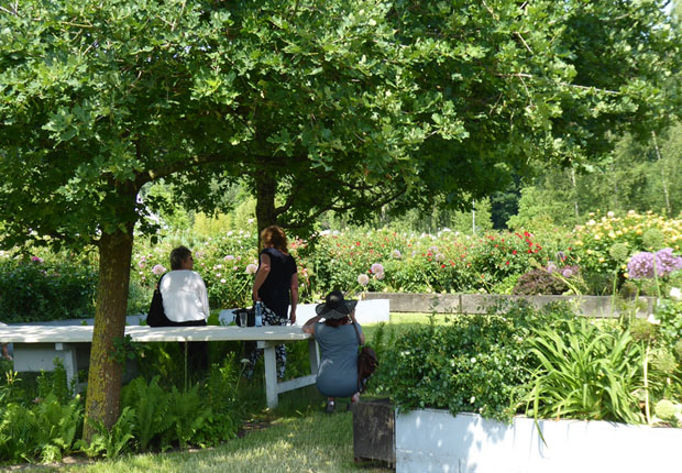 Im Juni und Juli sind die Ippenburger Gärten sonntags geöffnet und laden zu einem erholsamen Spaziergang ein. (Foto: Schloß Ippenburg)
