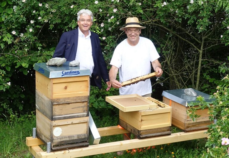 Fünf Bienenvölker fliegen künftig auf dem Betriebsgelände der Mineralquellen Wüllner in Bielefeld-Ubedissen. (Foto: Carolinen)