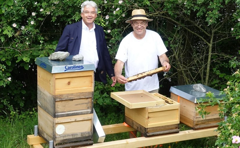 Carolinen schafft Heimat für fünf Bienenvölker