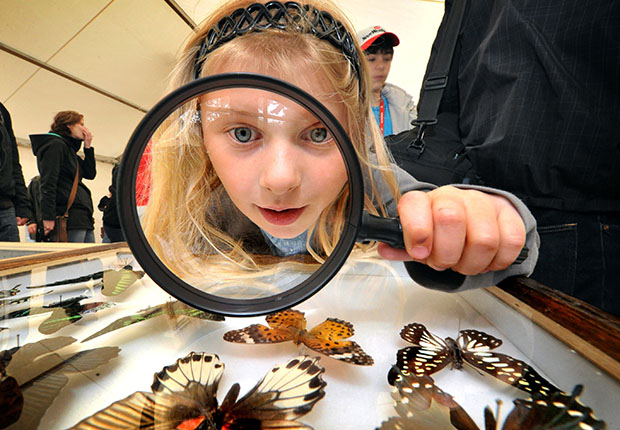 Für Kinder und Familien gibt es auf dem Uni.Stadt.Fest Live-Experimente und Spielangebote im Bürgerpark (Foto: Sarah Jonek)