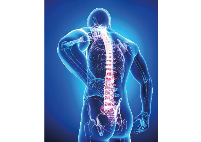 Richtiges und gezieltes Rückentraining fördert eine gute Haltung und kann Rückenschmerzen vorbeugen. Foto: AOK/hfr.