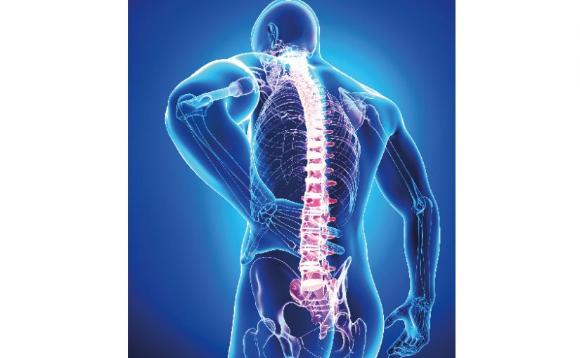 Rückenschmerzen verursachen im Kreis Lippe über 62.900 Ausfalltage