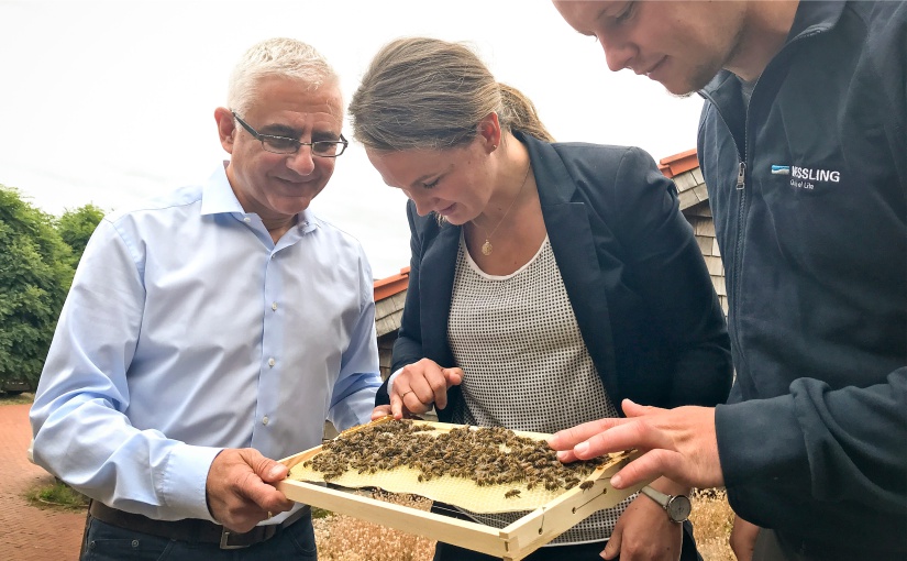 WESSLING Mitarbeiter Jannis Drakidis (links) gibt als erfahrener Imker sein Know-how an die geschäftsführende Gesellschafterin Anna Weßling und Mitarbeiter Christopher Bocker weiter. Gemeinsam mit weiteren Kolleginnen und Kollegen kümmern sie sich liebevoll um die Bienen an der WESSLING Unternehmenszentrale. Foto: © WESSLING