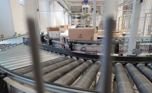 Nach der Etikettierung werden die Kartons zur Palettierung gefördert. - Foto: de Man