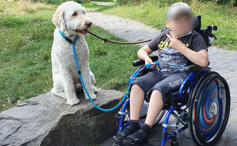 Die Organisation „Enniger hilft Kindern“ bietet auch Unterstützung vor Ort. Hier wurde einem krebskranken Kind aus Münster eine Hundetherapie ermöglicht. Foto: Enniger hilft Kindern e.V.