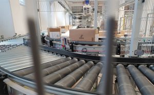 Nach der Etikettierung werden die Kartons zur Palettierung gefördert. - Foto: de Man