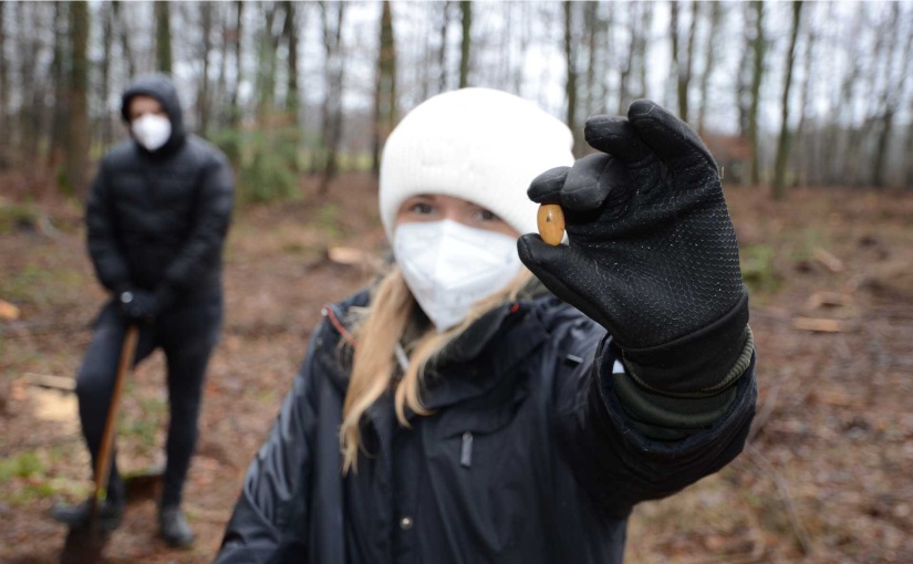 Neben den 200 Setzlingen wurden auch 1200 Kastanien und Eicheln in die Erde gebracht. Carla Stegkemper, Auszubildene der Gauselmann Gruppe, freute sich bei der Aktion dabei sein zu dürfen. - Foto: Gauselmann Gruppe