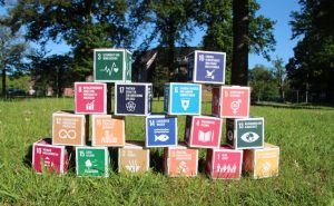 SDG Würfel: „Auch Unternehmen nutzen vermehrt die SDGs (Sustainable Development Goals) als strategische Richtschnur für ihr Nachhaltigkeitsmanagement.“ - Foto: Stadt Münster