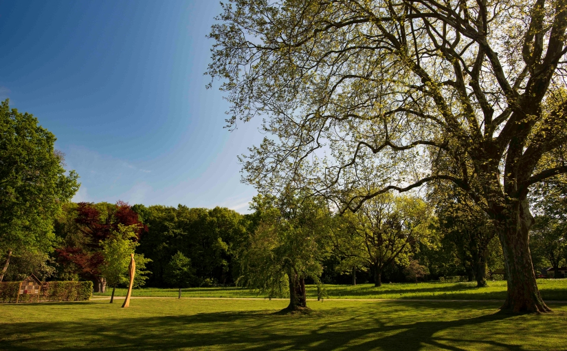 Malerisch: Parkanlagen und Wald von Schloss Benkhausen sind die Kulisse für den Skulpturenwettbewerb. - Foto: Gauselmann