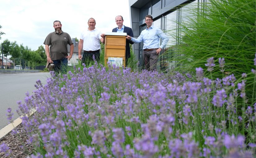 200.000 Bienen finden neues Zuhause: Bienenvölker an fünf Nagel-Group-Standorten angesiedelt