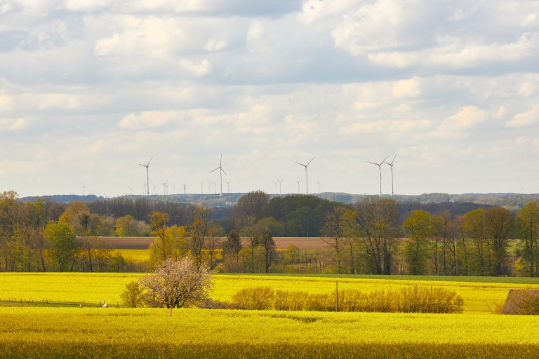 Das Münsterland wird Öko-Modellregion und fördert damit den Anteil ökologisch bewirtschafteter Flächen. Unterstützung der regionalen Land- und Ernährungswirtschaft (Foto: Münsterland e.V./Philipp Foelting)