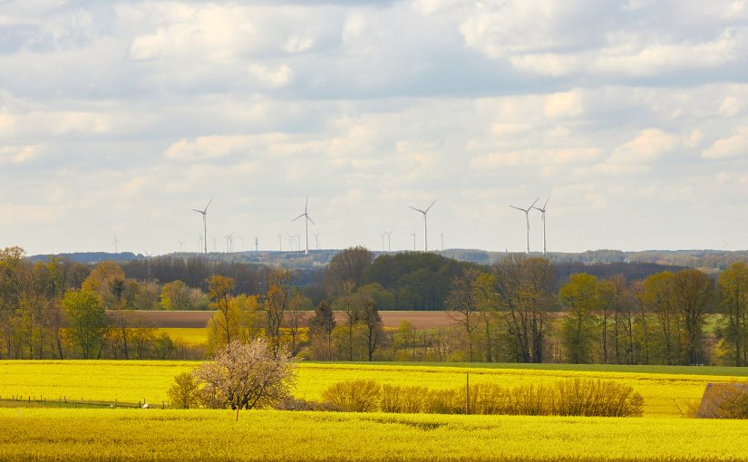 Das Münsterland wird Öko-Modellregion