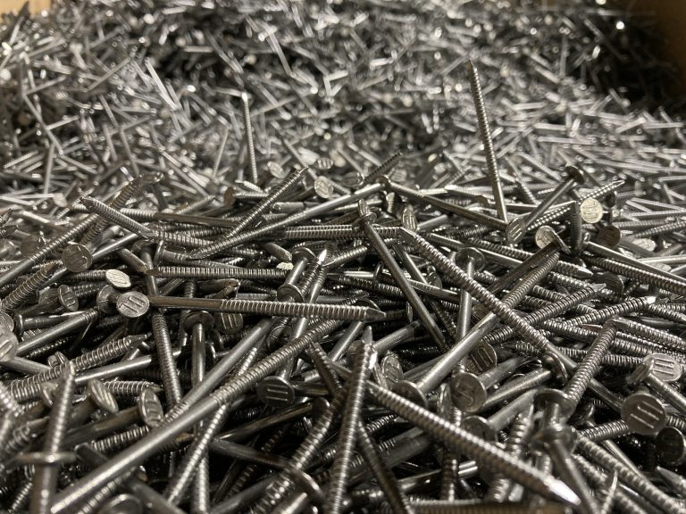 Konvexringnagel (Foto: HPE)