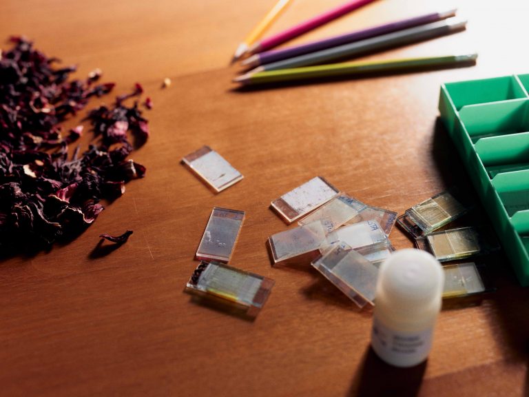 Hibiskusblüten liefern den Farbstoff für die Solarzellen, Bleistiftabrieb dient als Katalysator und Titandioxid dient als Halbleiter. (Foto: Patrick Pollmeier/FH Bielefeld)