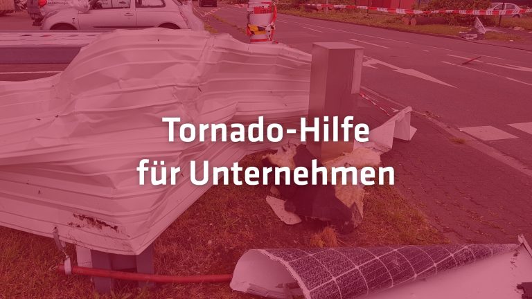 (Foto: Wirtschaftsförderungsgesellschaft Paderborn (WFG))