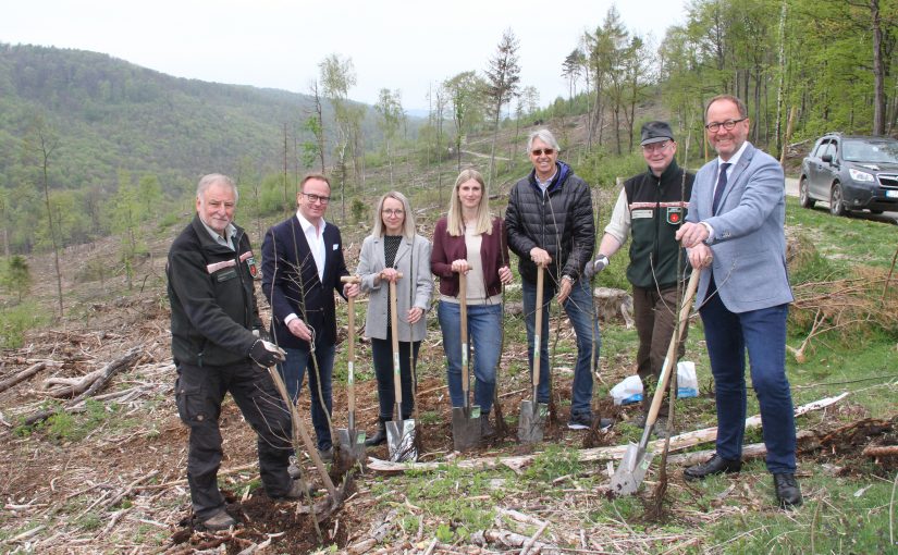 Hans-Ulrich Braun (Leiter Forstabteilung), Jens Beining (CEO Wortmann), Olga Wedel, Sarah Schröder, Andreas Burmeister (Projektteam Wortmann), Stefan Schreiber (Revierförster Hiddesen), Jörg Dünning-Gast (Verbandsvorsteher Landesverband Lippe) (Foto: Wortmann)