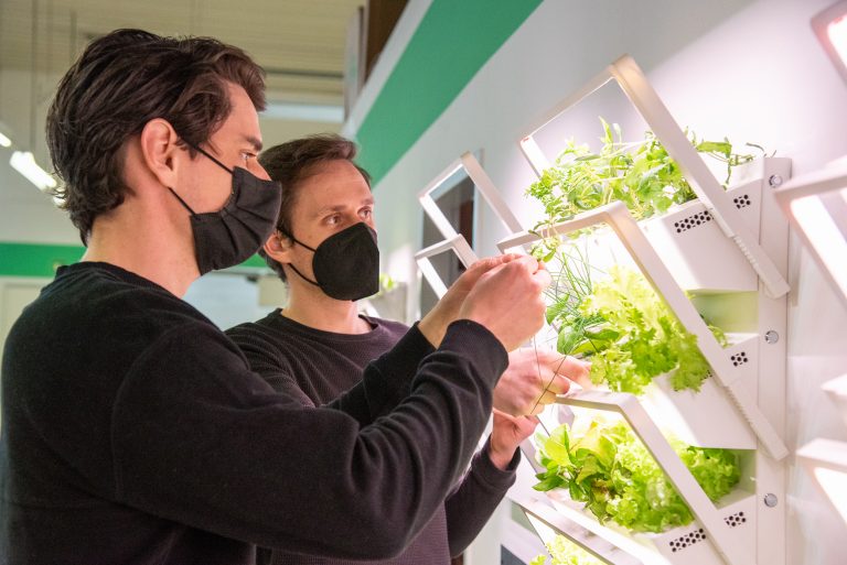 Jonas (l.) und Sven Hülskötter haben mit ihrem Start-up „urbanhive“ ein intelligentes Beet für die eigenen vier Wände entworfen. (Foto: FH Münster/Michelle Liedtke)