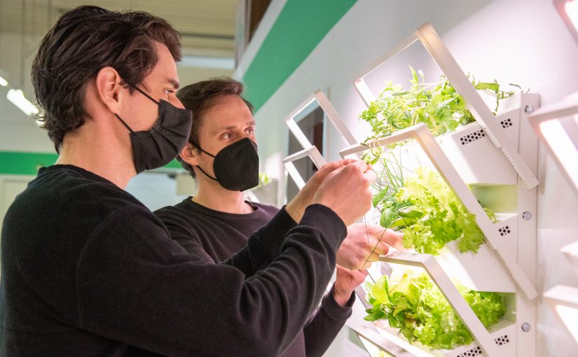 Jonas (l.) und Sven Hülskötter haben mit ihrem Start-up „urbanhive“ ein intelligentes Beet für die eigenen vier Wände entworfen. (Foto: FH Münster/Michelle Liedtke)