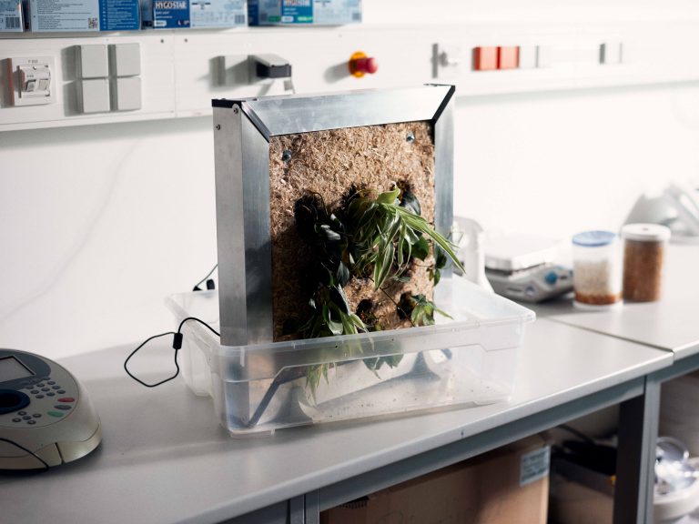 In diesen Rahmen haben Studierende ein Bewässerungssystem mit entsprechenden Steuerungen verbaut. (Foto: Patrick Pollmeier/FH Bielefeld)