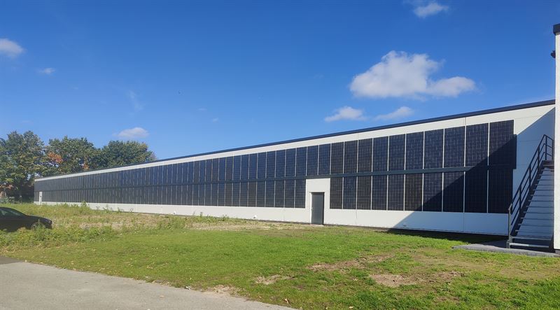 Fassade als Solarkraftwerk: Sonnenenergie an der Hallenwand