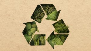 (Foto: Green_Earth_Recycle_Konzept_iStock-ID_1394774878_Phiwath_Jittamas)