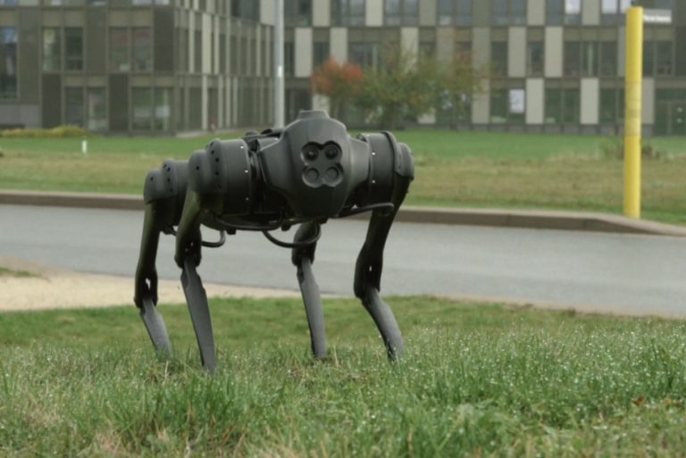 „Achilles" ist ein Roboterhund, mit dem an der Hochschule Bielefeld geforscht wird. Sein "Herrchen", Prof. Dr. Axel Schneider, ist bei Brainstorm zu Gast.“ (Foto: Hochschule Bielefeld)