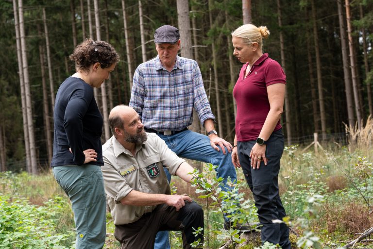 Von links: Kathrin Fricke (CHRO WAGO), Markus Uhr (Zuständiger Förster), Gerhard Naendrup (Schutzgemeinschaft Deutscher Wald NRW) und Astrid Burschel Vice President Corporate Sustainability WAGO) im Klosterwald, wo die gespendeten Bäume gepflanzt werden. (Foto: WAGO)