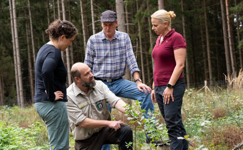 Von links: Kathrin Fricke (CHRO WAGO), Markus Uhr (Zuständiger Förster), Gerhard Naendrup (Schutzgemeinschaft Deutscher Wald NRW) und Astrid Burschel Vice President Corporate Sustainability WAGO) im Klosterwald, wo die gespendeten Bäume gepflanzt werden. (Foto: WAGO)