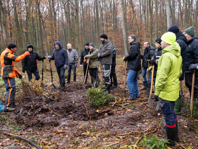 Förster Peter Heidmeier (links) erklärt den fleißigen Helfern, worauf sie beim Einpflanzen zu achten haben. (Foto: Gauselmann)