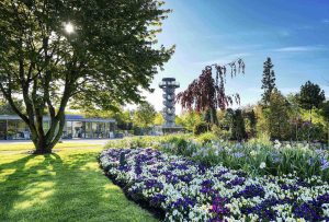 (Foto: Gartenkulturzentrum Niedersachsen)
