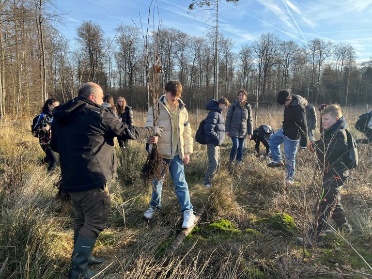„Natur erleben und nachhaltig wirken“ beim diesjährigen Wandertag der Gesamtschule Büren. Hier bringt der ehemalige Stadtförster Ulrich Menzel den Schülerinnen und Schülern sein Wissen über den Stadtwald näher. (Foto: Lara Münstermann, Gesamtschule Büren)