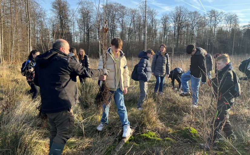 „Natur erleben und nachhaltig wirken“ beim diesjährigen Wandertag der Gesamtschule Büren. Hier bringt der ehemalige Stadtförster Ulrich Menzel den Schülerinnen und Schülern sein Wissen über den Stadtwald näher. (Foto: Lara Münstermann, Gesamtschule Büren)