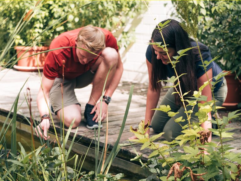Ob Botanischer Garten, Mauergarten, Freilandlabore oder verschiedene Versuchsflächen: Am Sustainable Campus in Höxter bietet sich den Studierenden eine besondere Lern-Infrastruktur. (Foto: TH OWL)