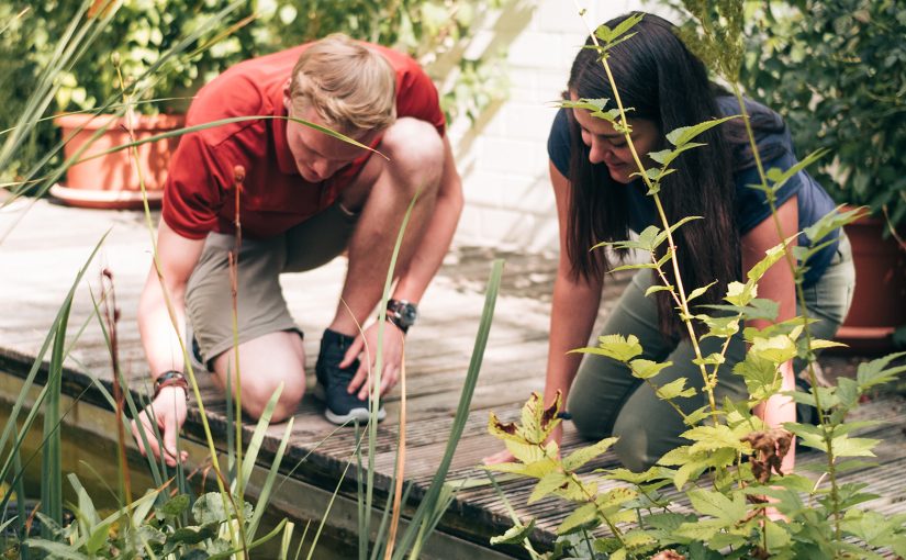 Ob Botanischer Garten, Mauergarten, Freilandlabore oder verschiedene Versuchsflächen: Am Sustainable Campus in Höxter bietet sich den Studierenden eine besondere Lern-Infrastruktur. (Foto: TH OWL)