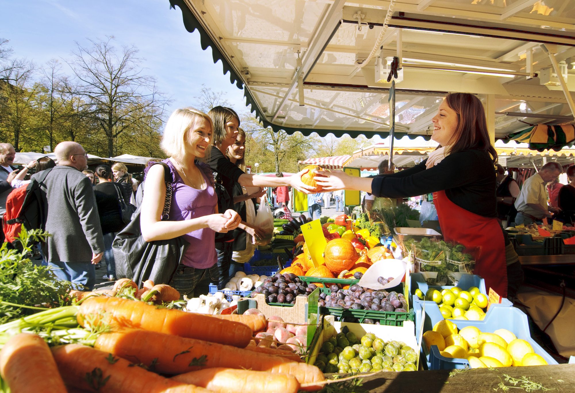 Gute Auswahl, viel Flair und eine Kundschaft mit Kaufkraft: Der Wochenmarkt in Münster lockt mittwochs und samstags viele Besucher auf den Domplatz. (Foto: Presseamt Münster / Angelika Klauser)