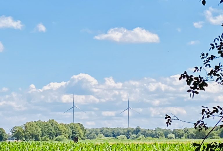 Die Transformation des Energiesystems auf Regionalplanungsebene haben Forschende im DBU-geförderten Projekt „100 % erneuerbare Energien – kommunale Entscheider im Dialog“ am Campus Lingen der Hochschule Osnabrück untersucht. (Foto: Hochschule Osnabrück)