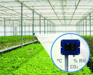 Der JUMO hydroTRANS S20 misst Temperatur, Feuchtigkeit- und CO2-Werte direkt bei den Pflanzen im Gewächshaus (Foto: JUMO)
