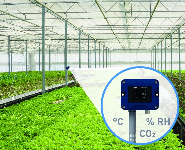 Der JUMO hydroTRANS S20 misst Temperatur, Feuchtigkeit- und CO2-Werte direkt bei den Pflanzen im Gewächshaus (Foto: JUMO)